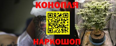 индика Кинель