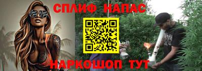 индика Кинель