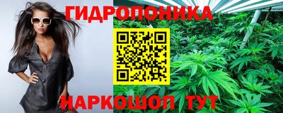 ПСИЛОЦИБИНОВЫЕ ГРИБЫ Кимры